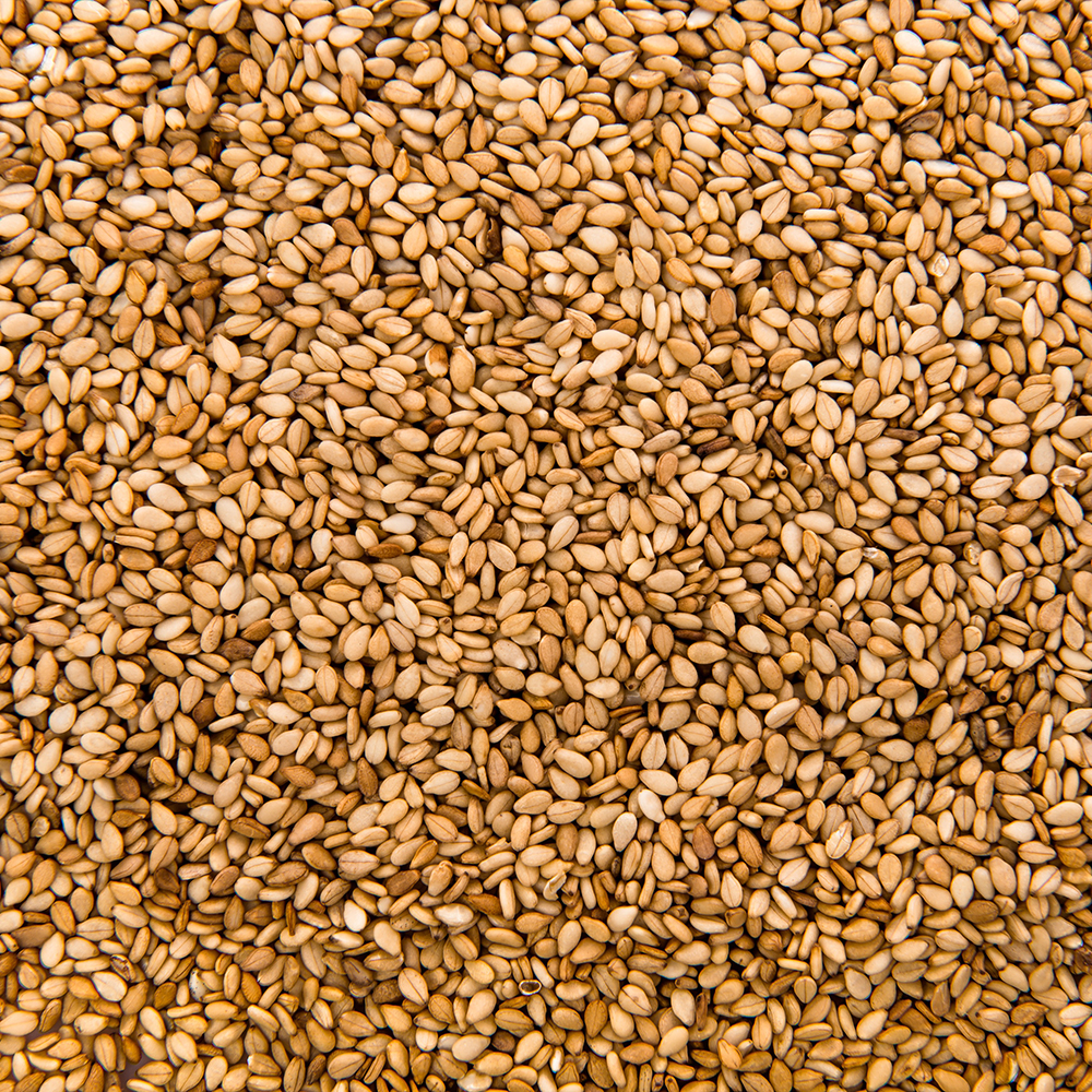 Semillas de Sésamo Bio - granel - BioArtesa