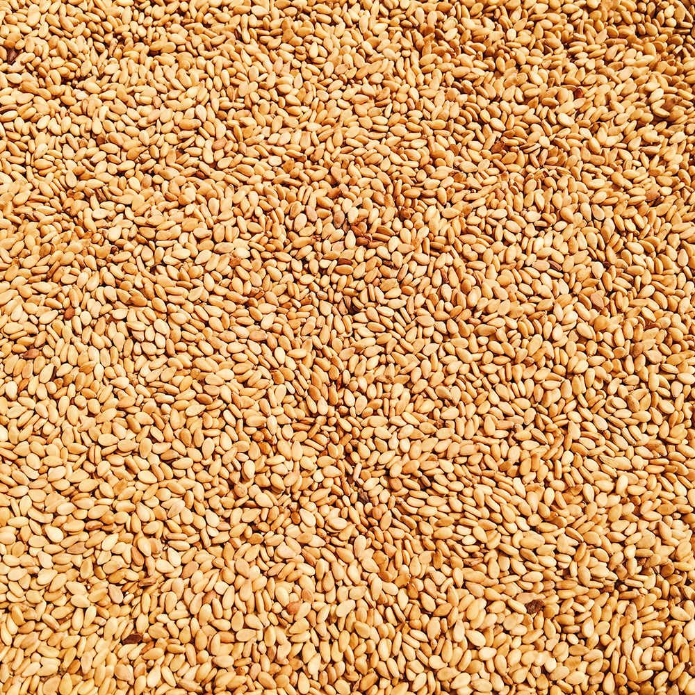 Semillas de Sésamo tostado Bio - Granel - BioArtesa