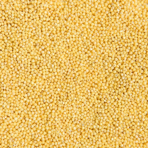 Mijo Bio - granel - Bioartesa
