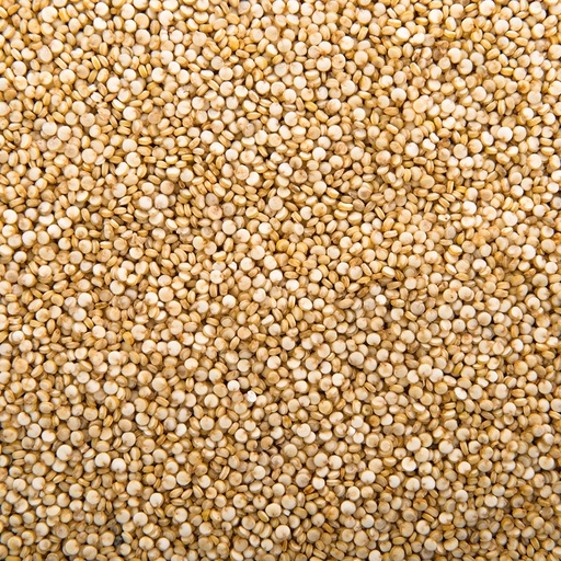 Semillas de Quinoa real Bio - granel - BioArtesa