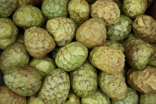 Txirimoia Eko - aleka - Félix