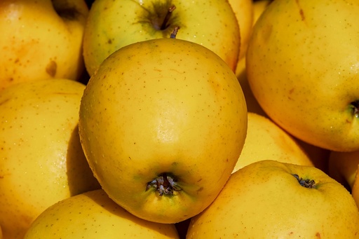 Manzana Golden - granel - Citricaren