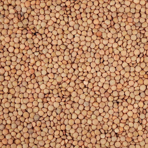 [03-010] Lenteja Pardina Eco - Granel - El Alcaraván