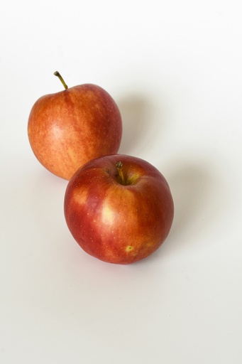 [12-004] Manzana Royal Gala Eco - Granel - Citricaren