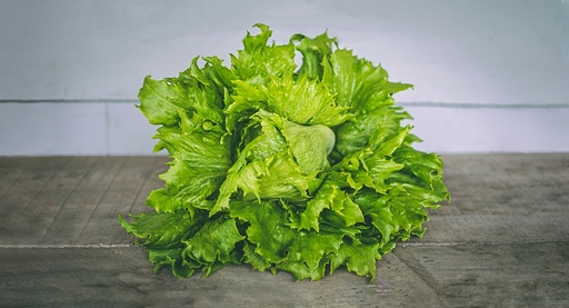 Lechuga Eco - Biotrailla