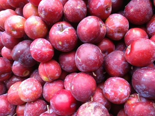 Ciruela Roja- granel - Citricaren